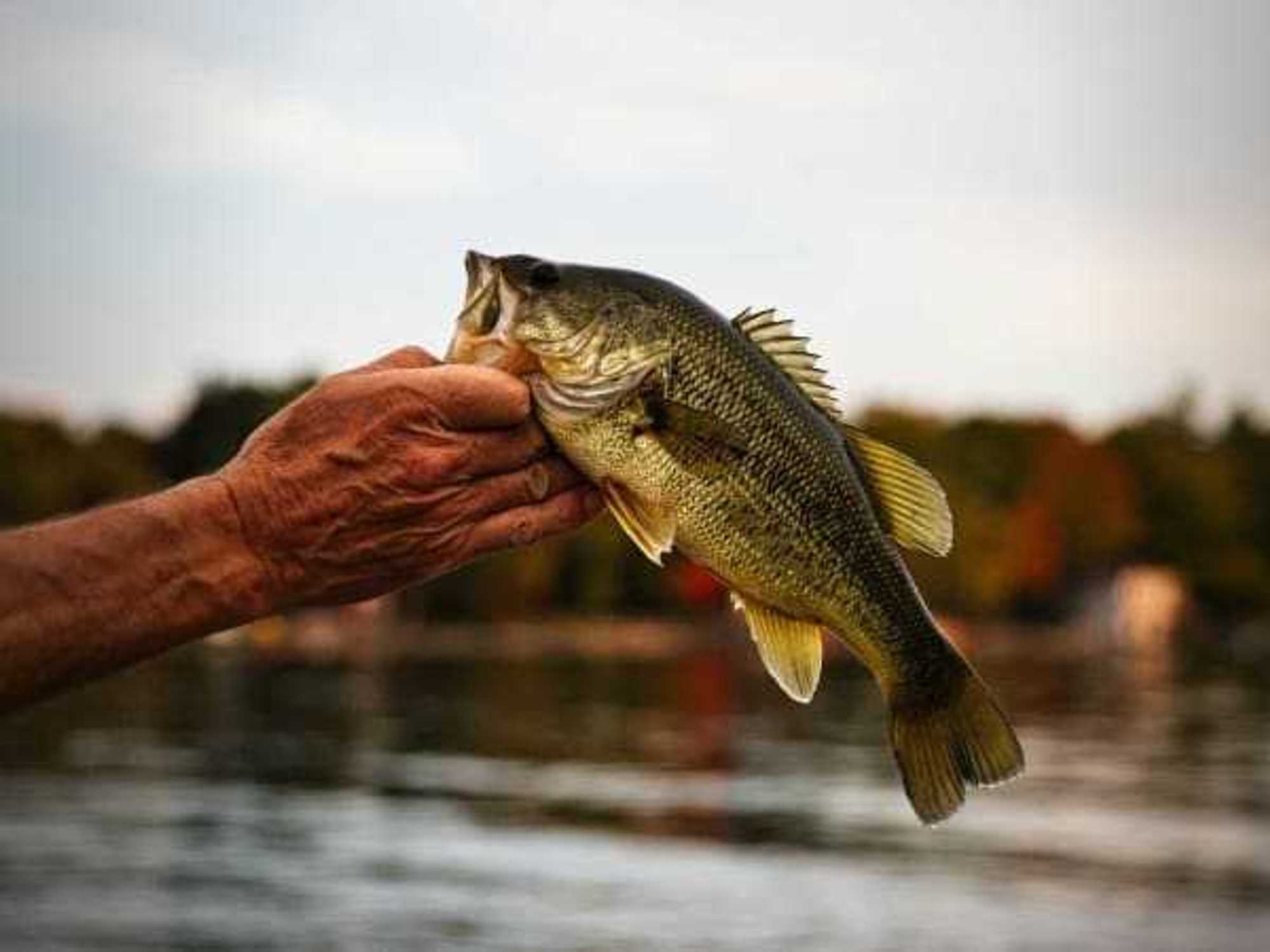 Free Fishing Day in Texas