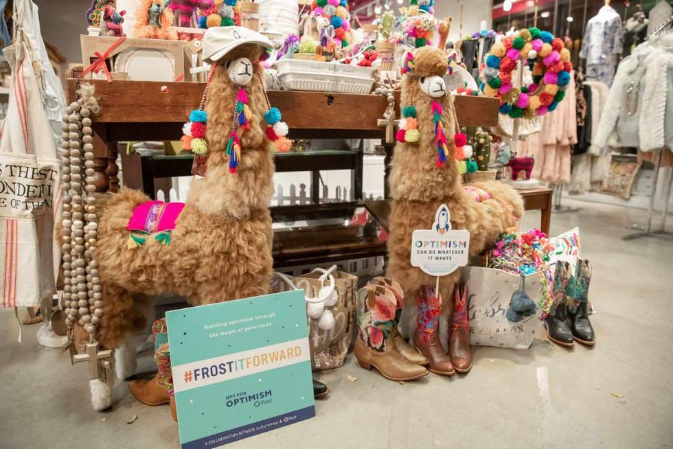 Frost pop-up at Pearl Holiday Market