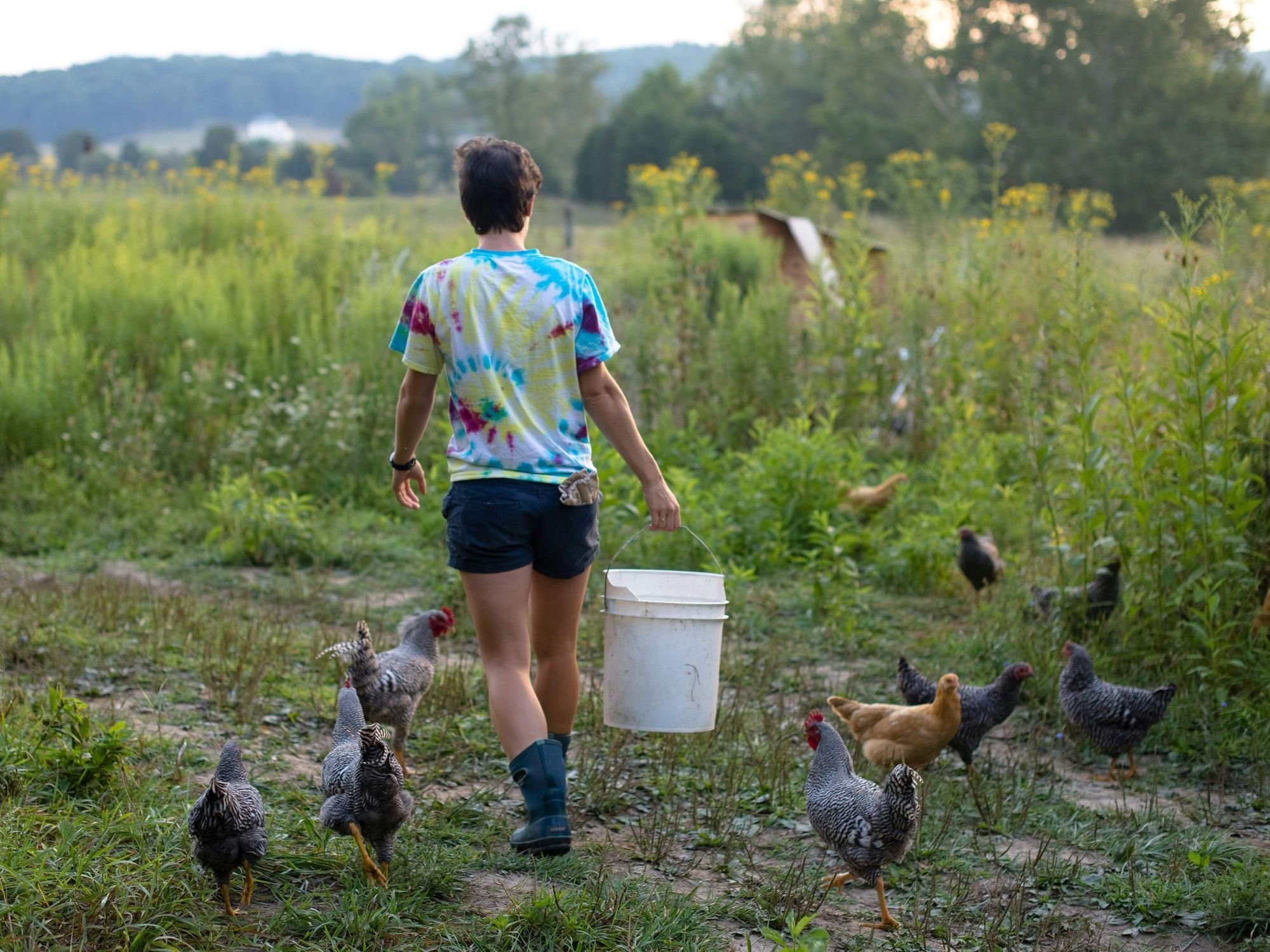 Gardening and homesteading in Texas