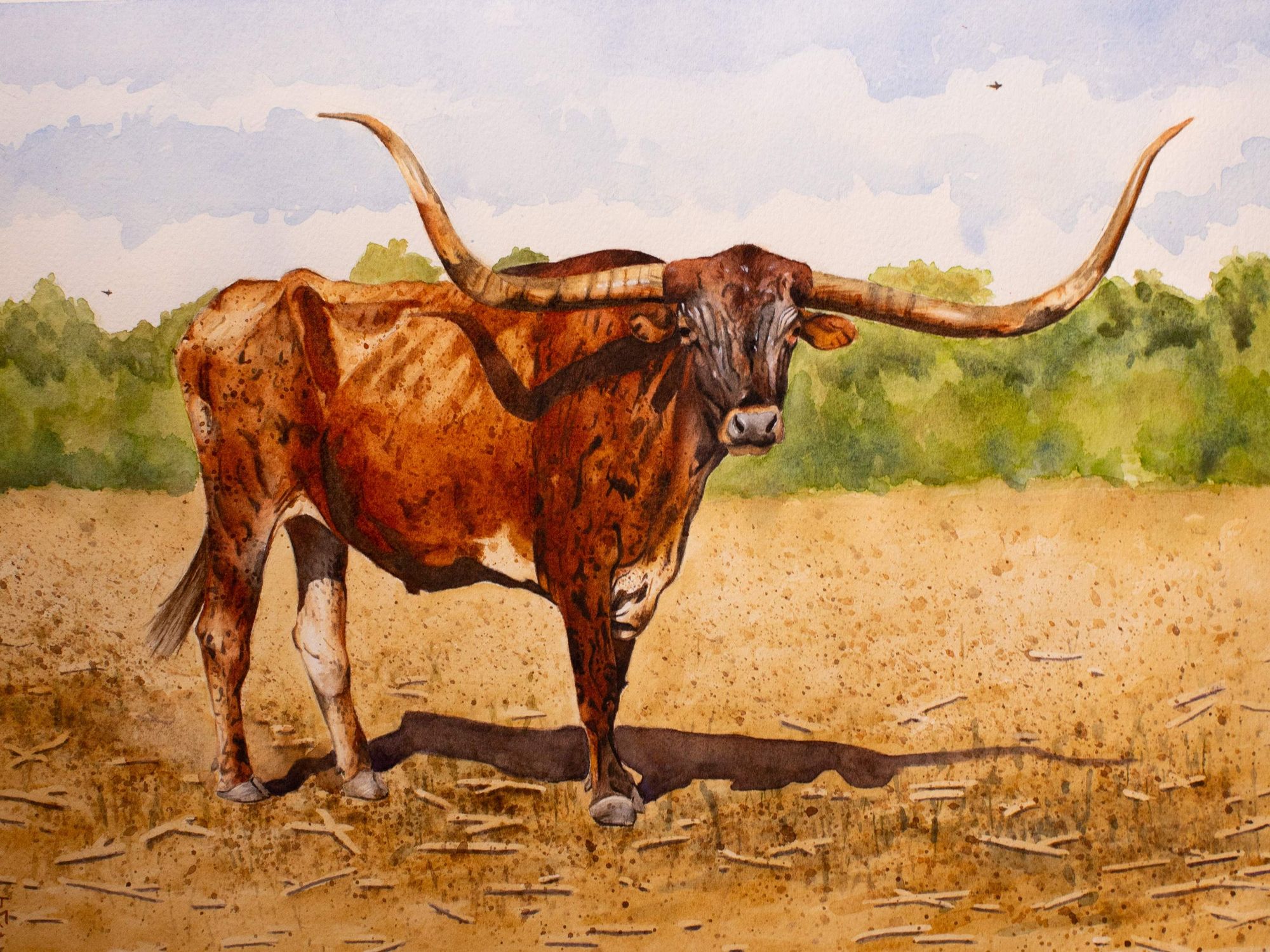 "Ghost of the Whitebrush" by Jessa Clements