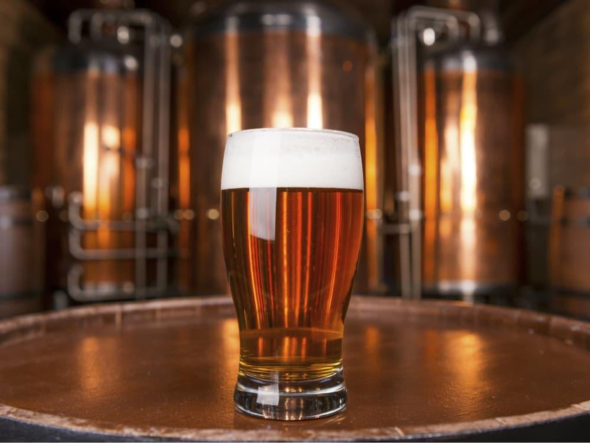 Glass of craft beer at a brewery