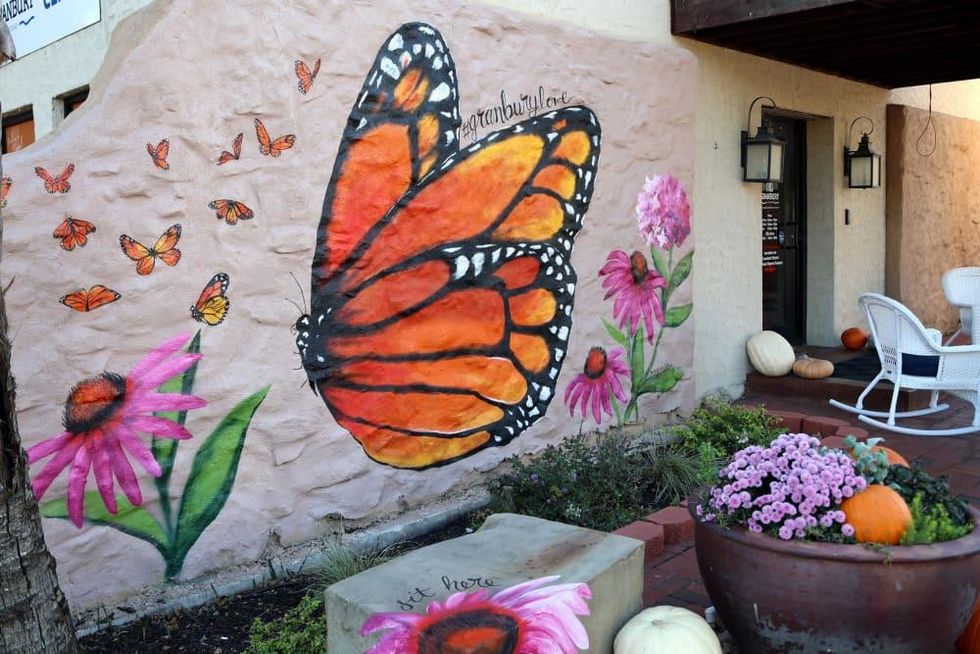 granbury butterfly mural