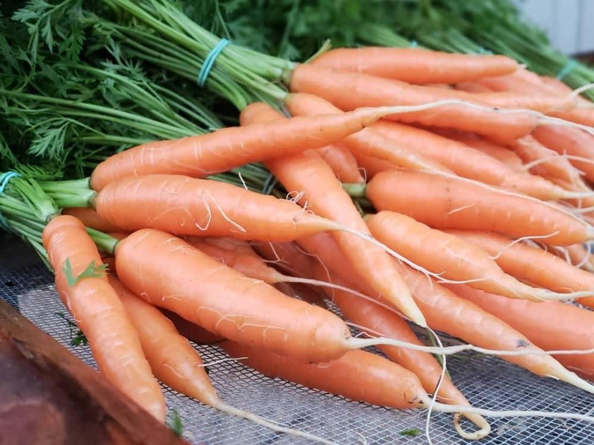 Green Bexar Farm carrots produce