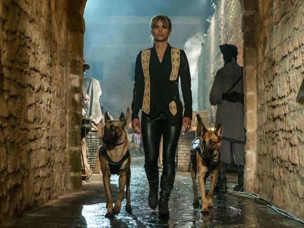 Halle Berry in John Wick: Chapter 3 - Parabellum