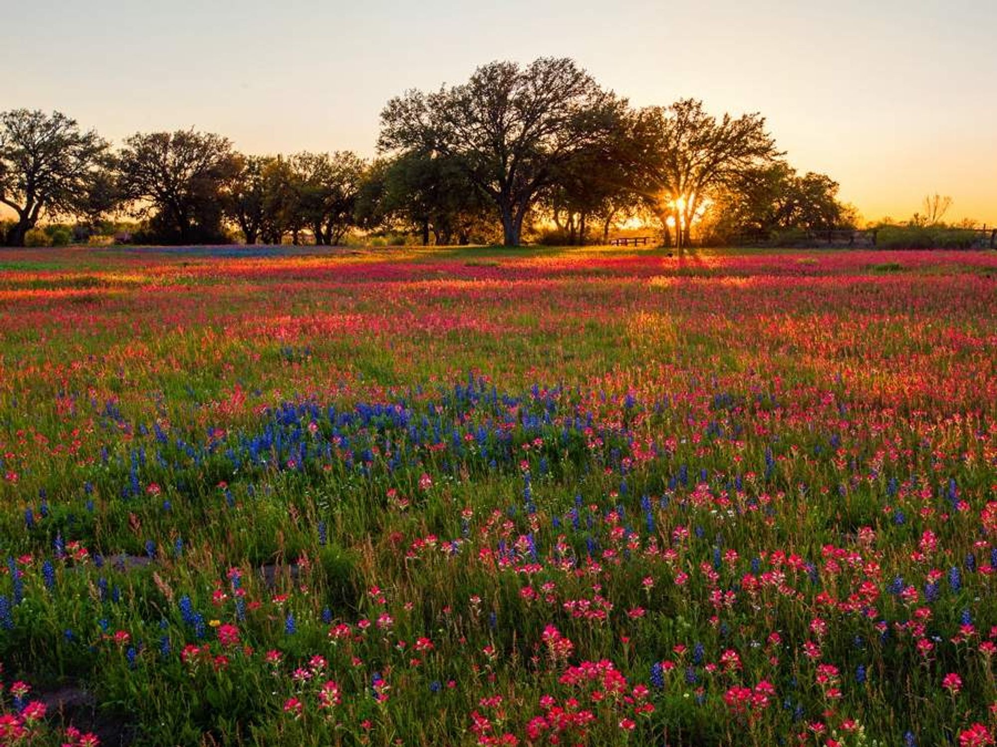 Hill Country sunset contest winner