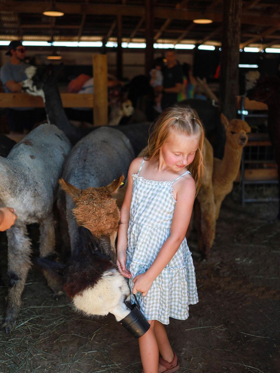 Holiday on the Ranch