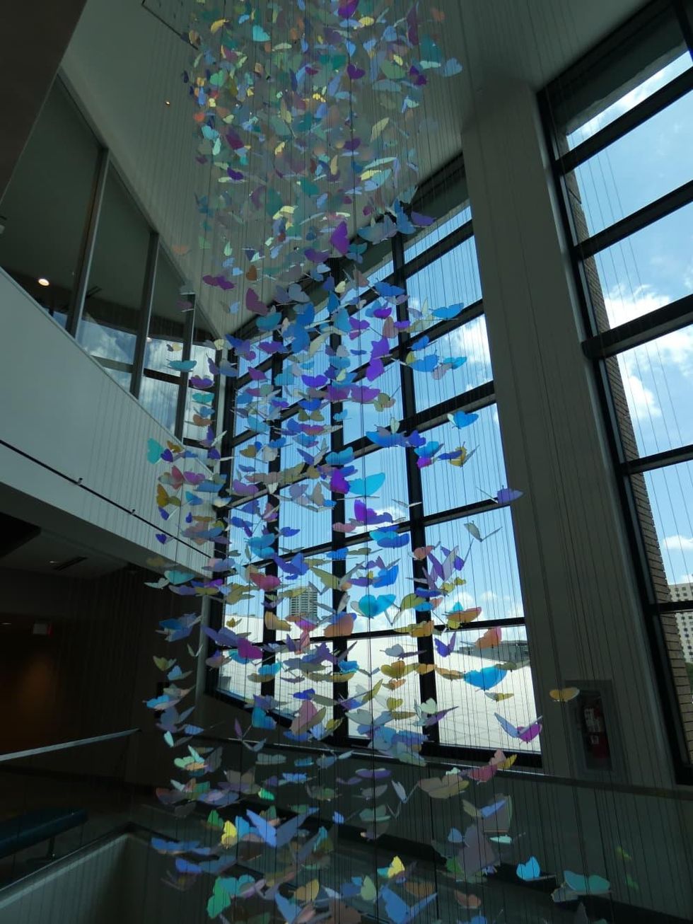 Holocaust Museum Houston Butterfly Loft