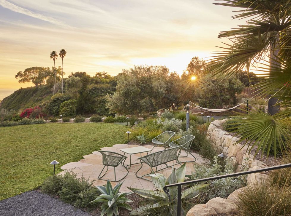 Houzz 2026 home design predictions, outdoor gardens