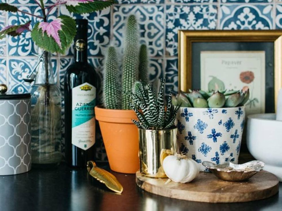 Houzz, Favorite Succulents to Grow Indoors, February 2018