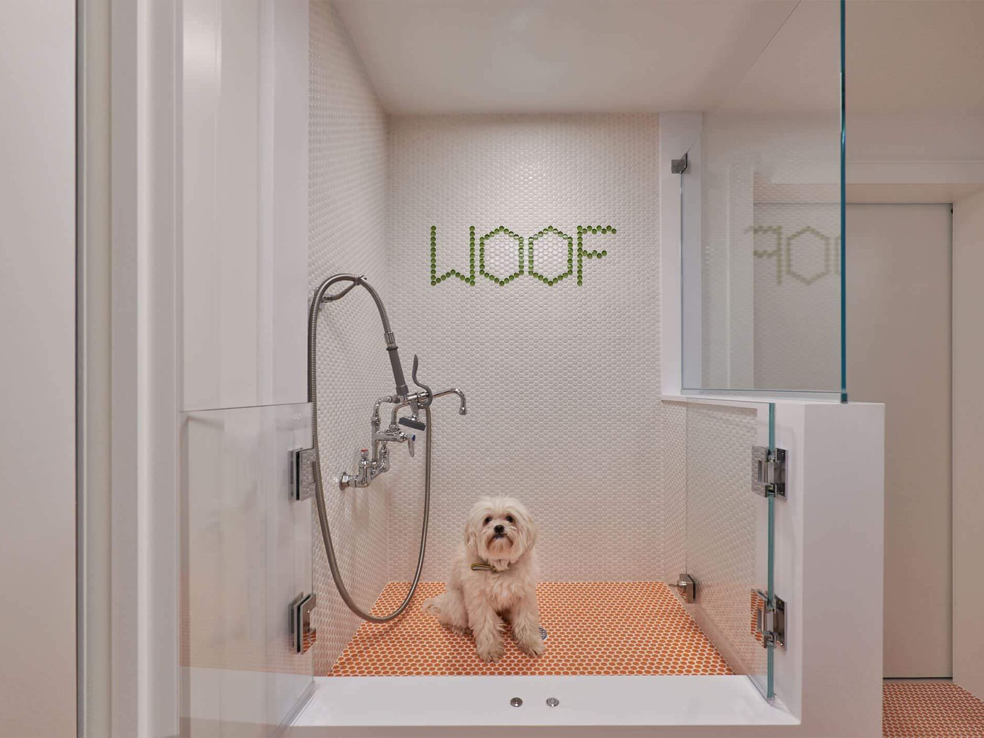 How pets are shaping home trends, from grooming stations to catios