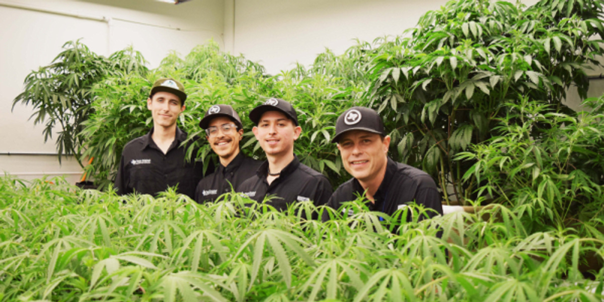 Go inside Texas’ prime medical hashish facility to see how the life-changing drugs is grown Go inside Texas’ prime medical hashish facility to see how the life-changing drugs is grown