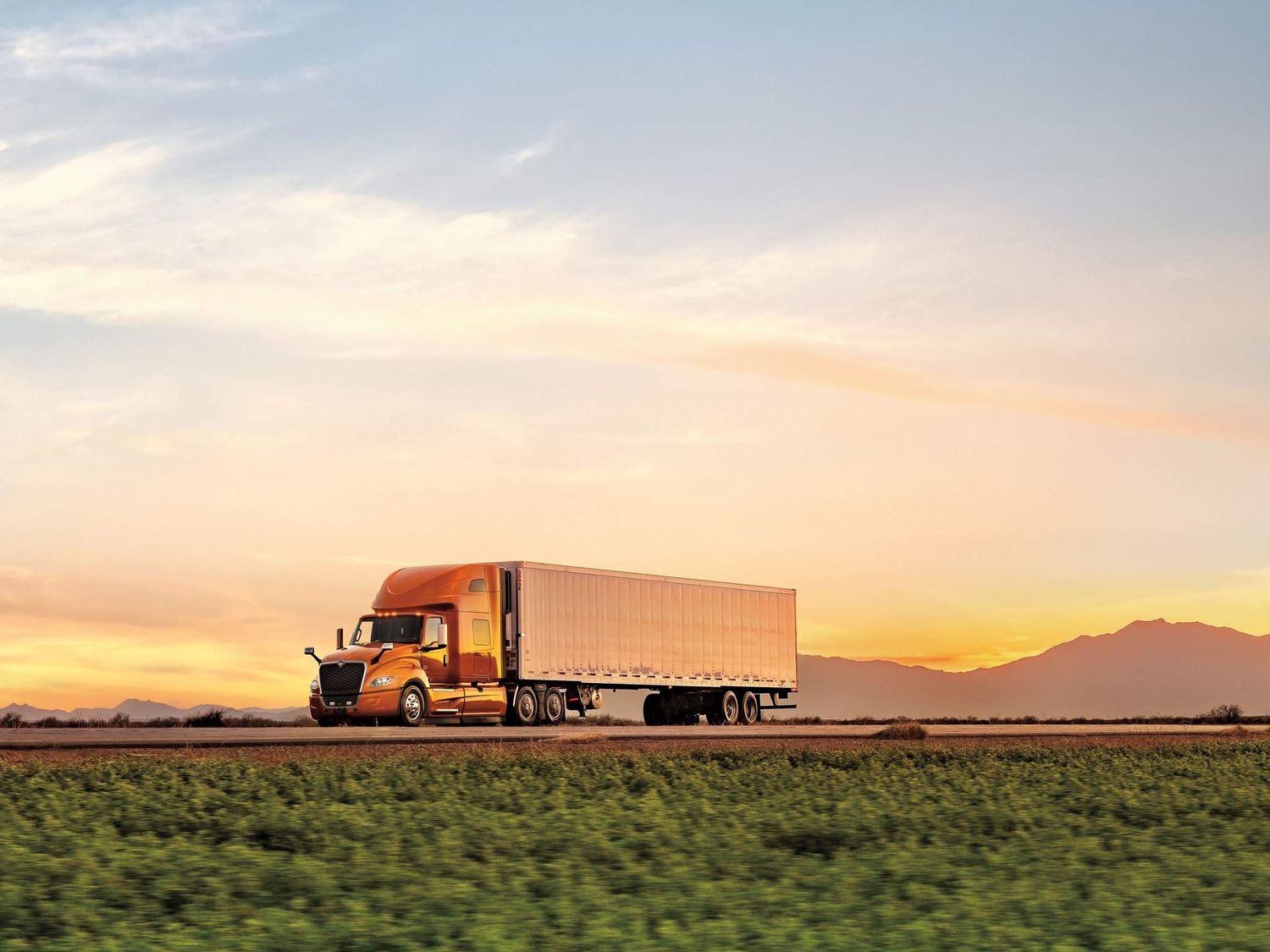 International Motors semi