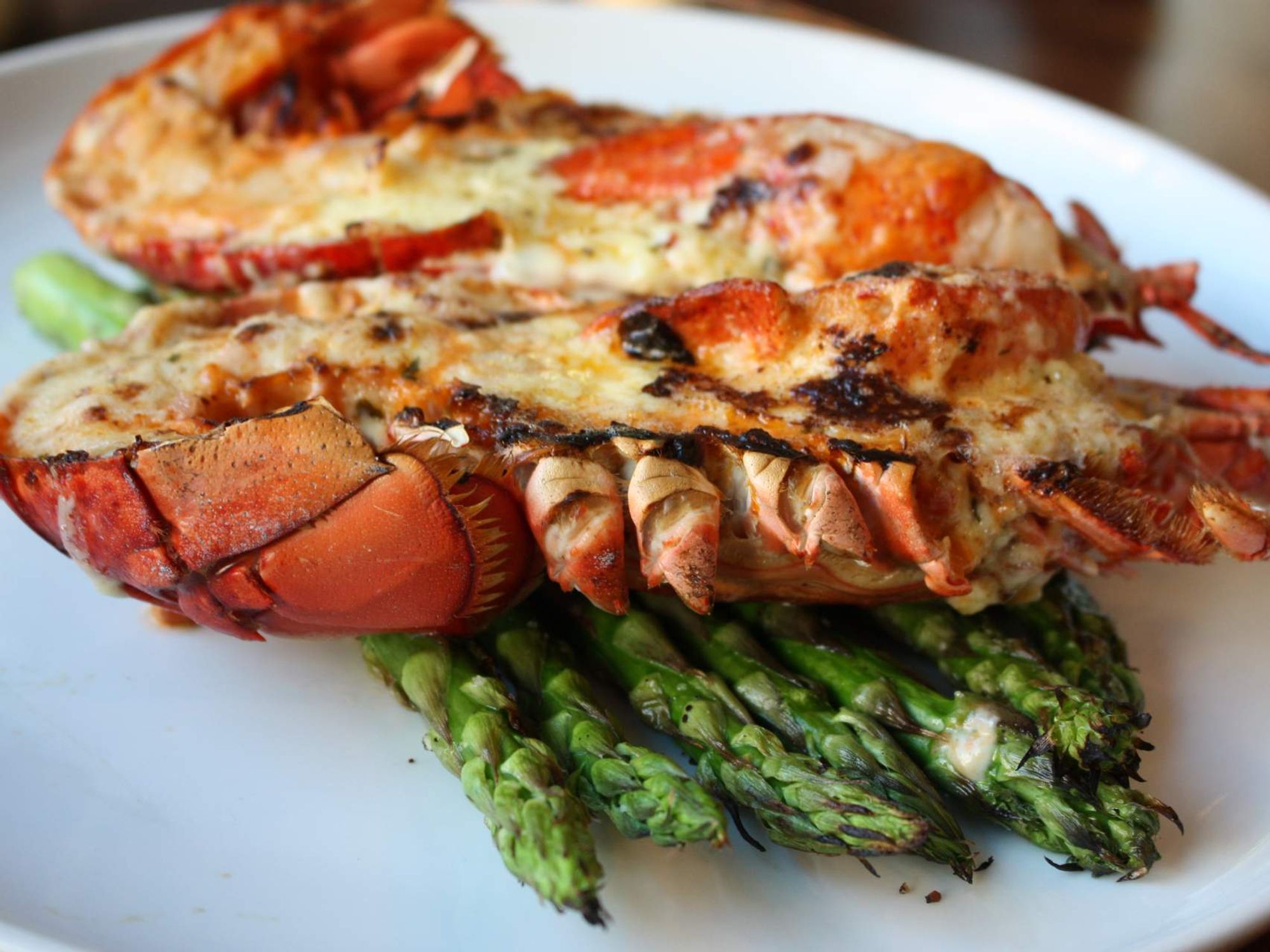 Jason Dady Restaurants lobster week