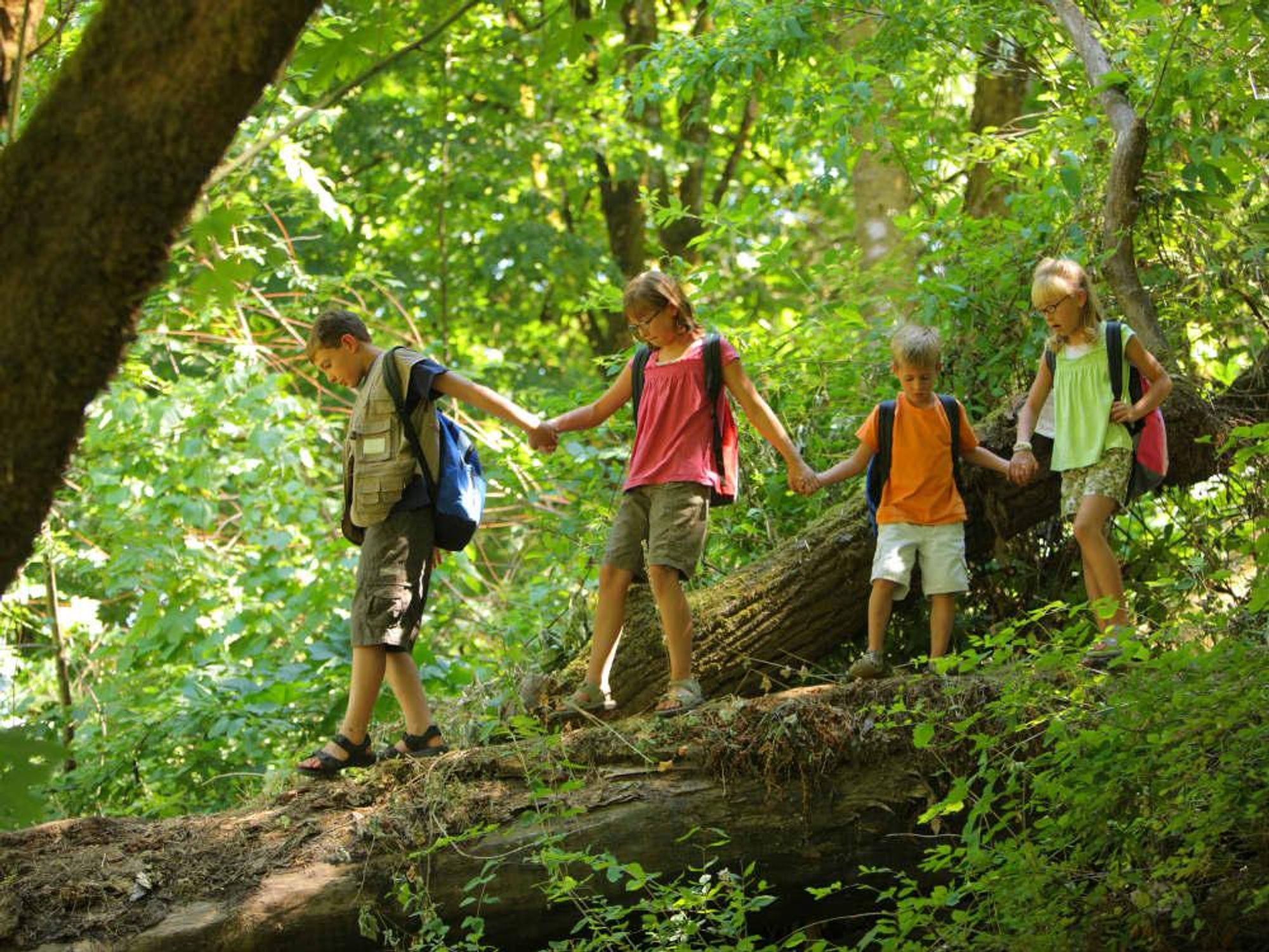 Kids walking over a log in the woods
