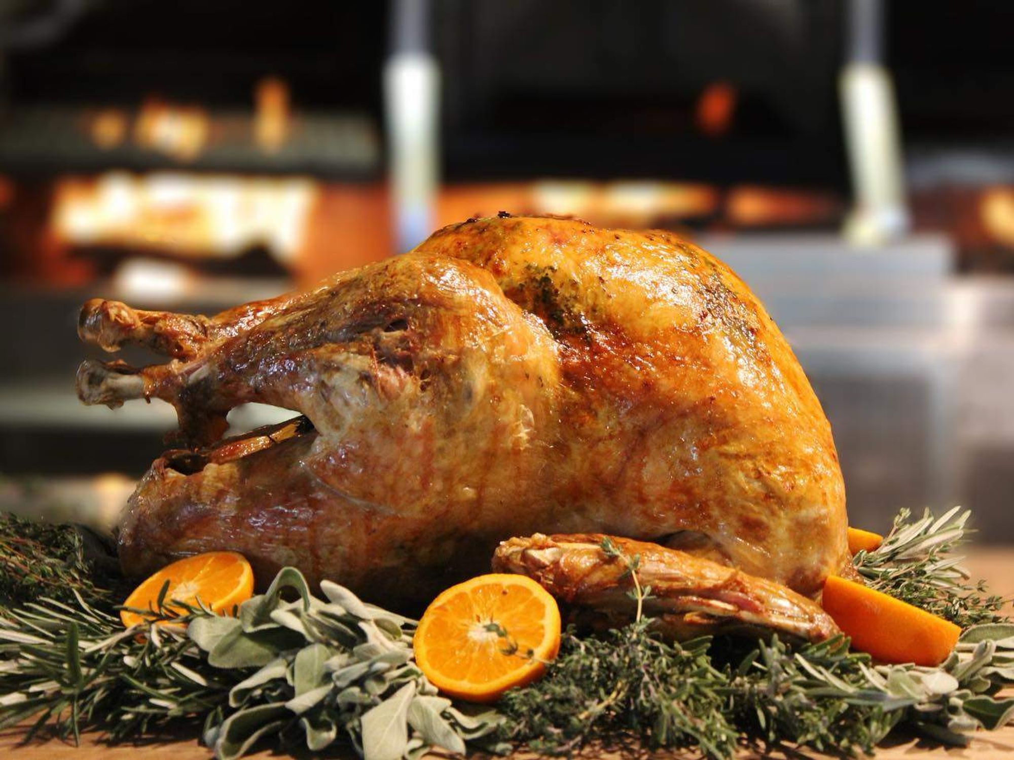 Landrace San Antonio