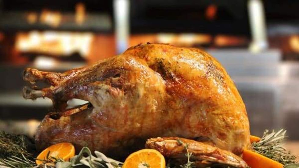 Landrace San Antonio