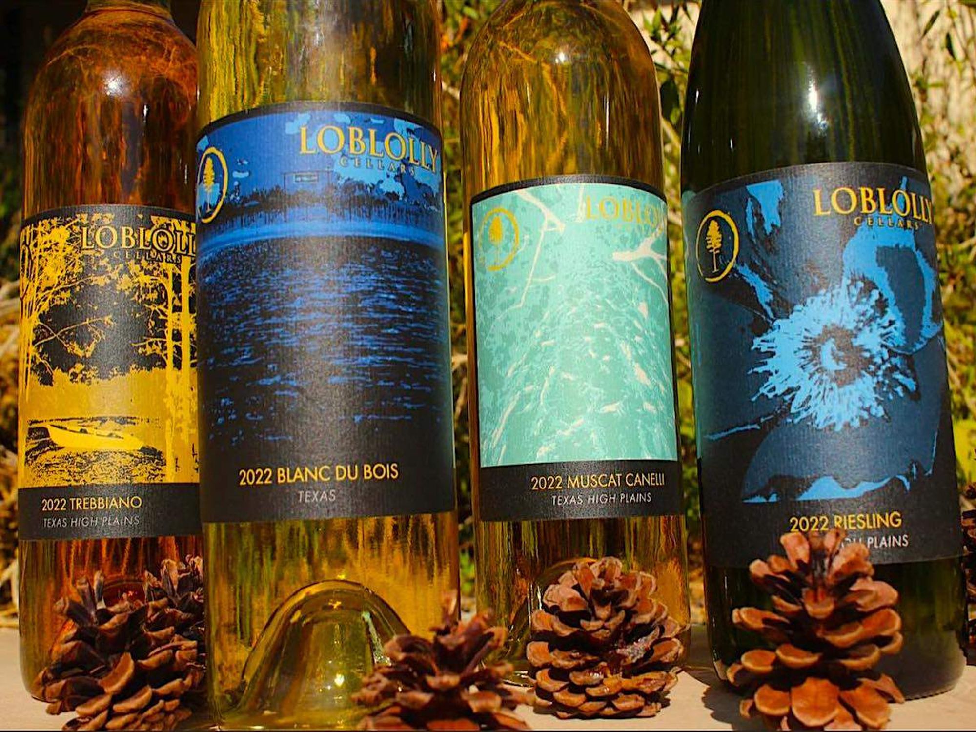 Loblolly Cellars, Vino Grotta, San Antonio, wine bar, winery