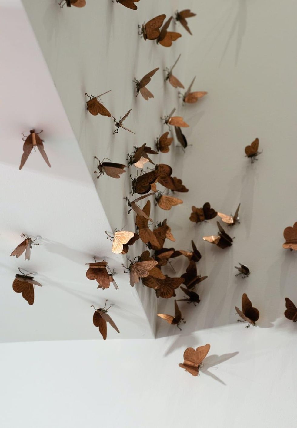 Margarita Cabrera, Craft of Resistance