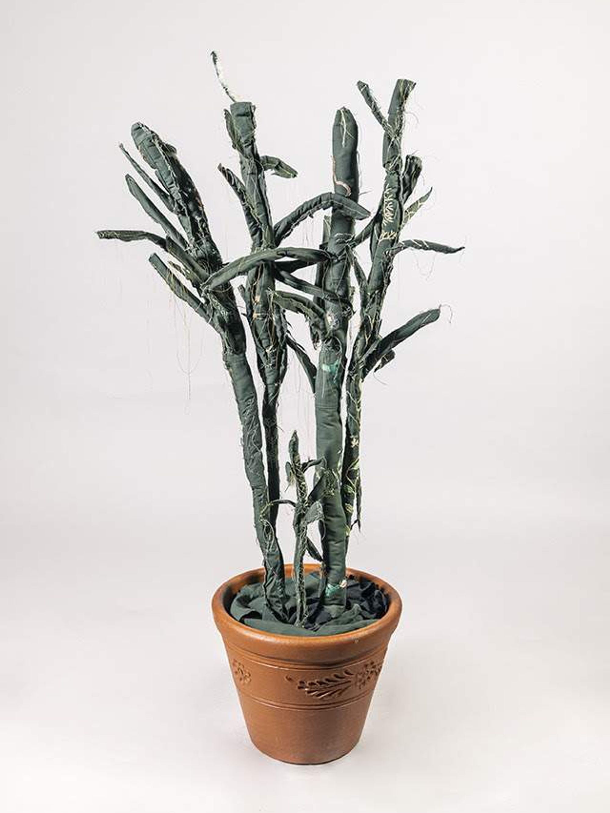 Margarita Cabrera sculpture McNay