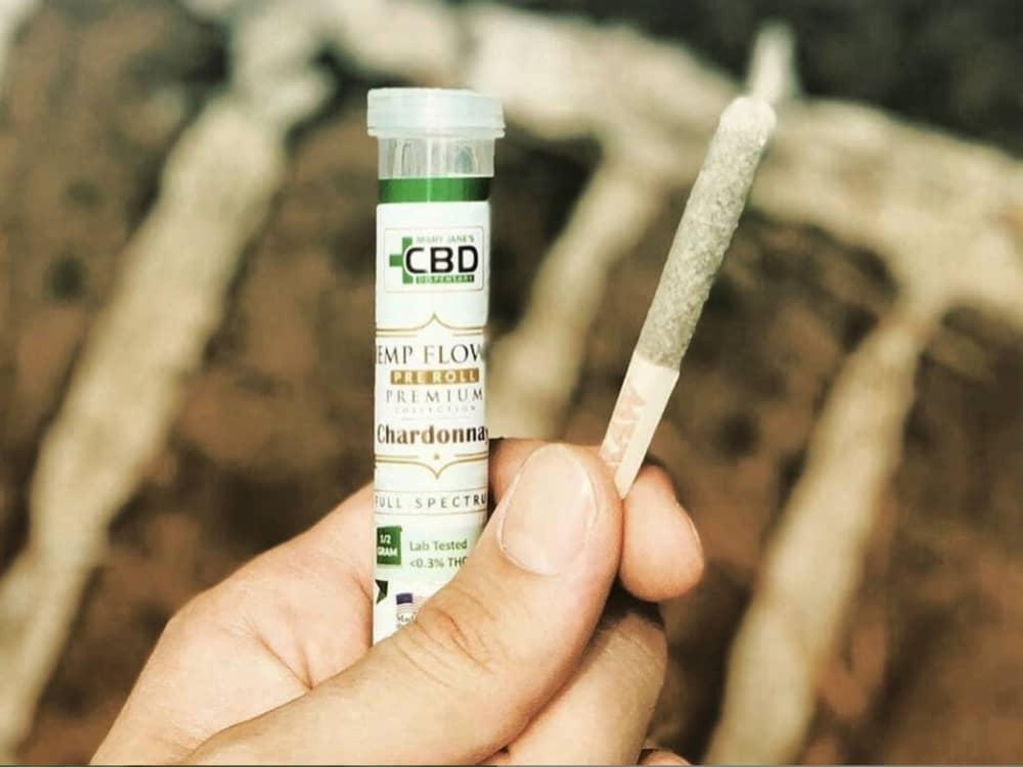 Mary Jane's CBD Dispensary CBD joint