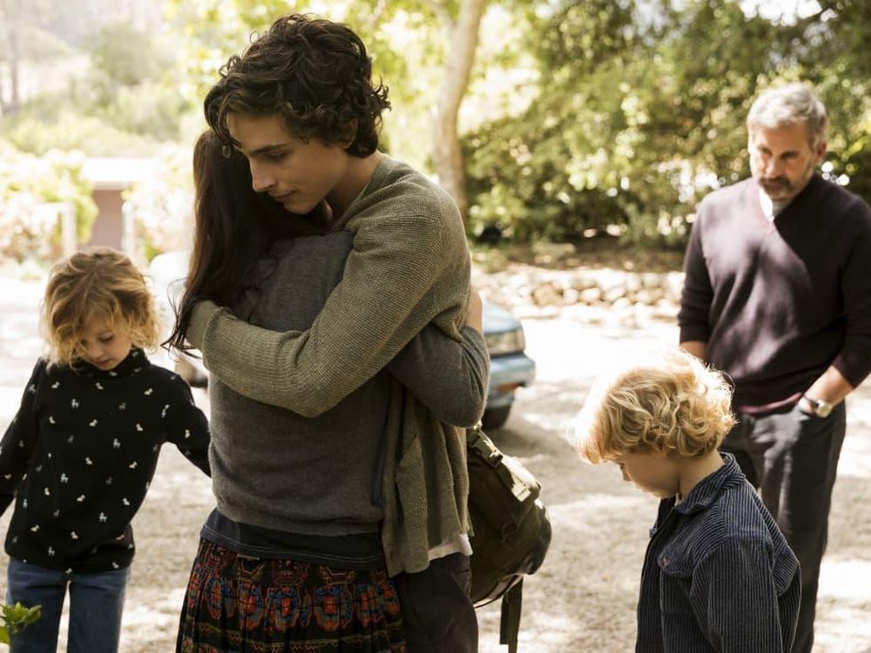 Maura Tierney, Timothee Chalamet, and Steve Carell in Beautiful Boy