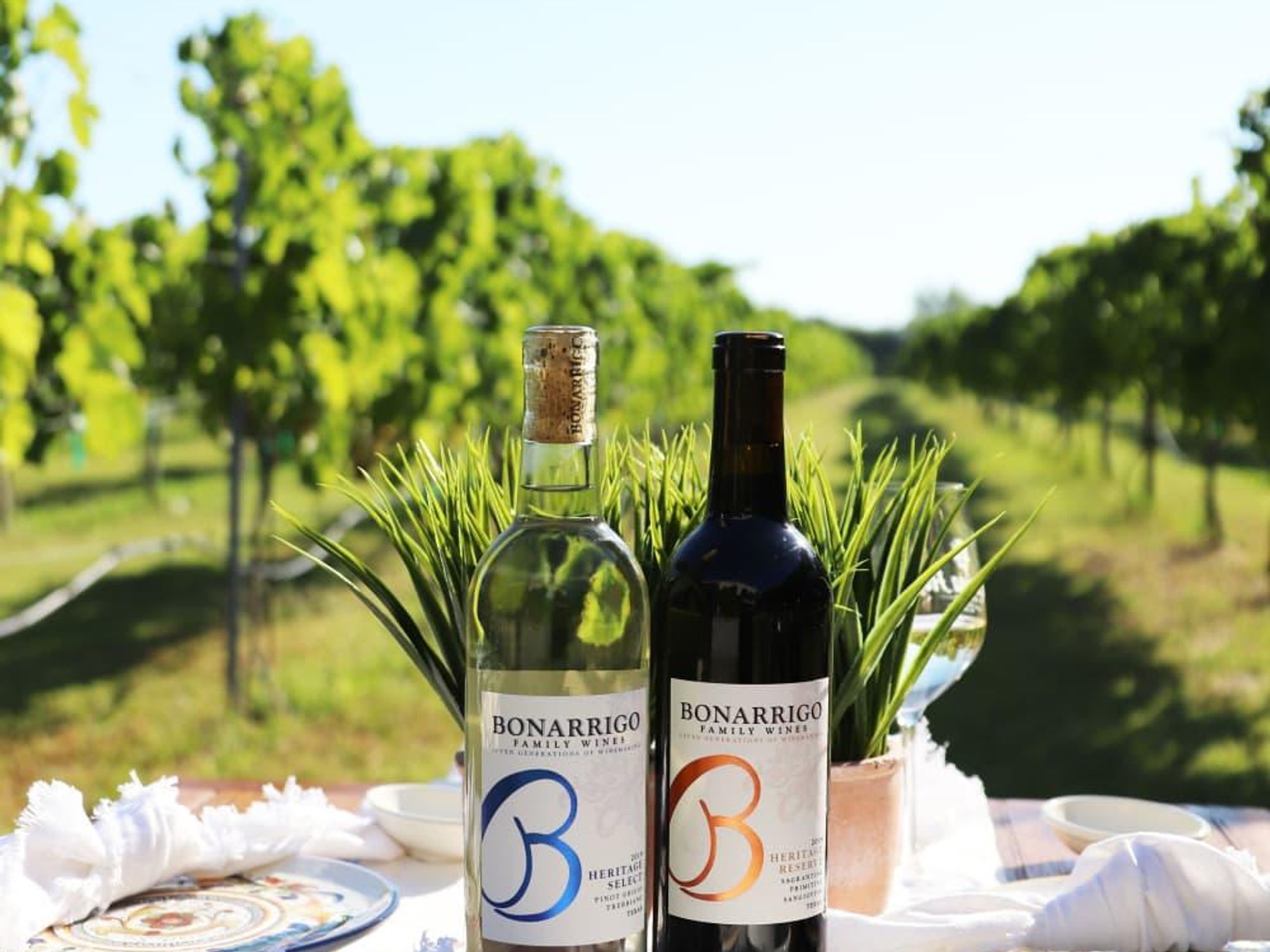 Messina Hof Bonarrigo Family Wines collection