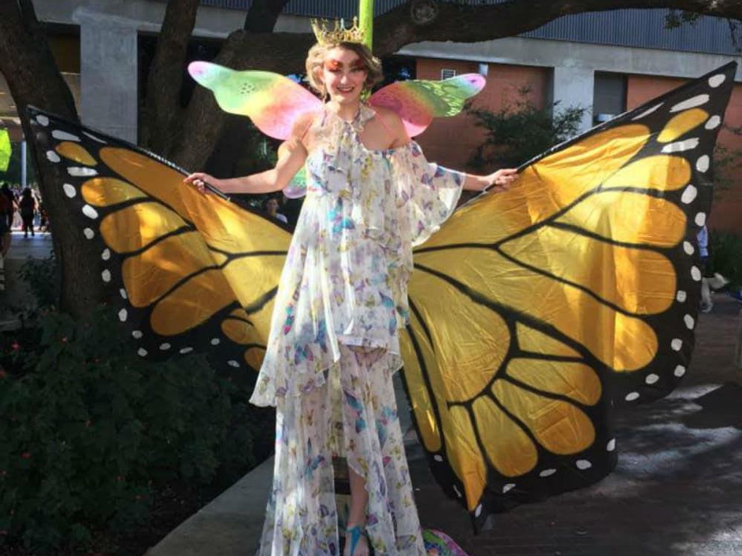 Monarch Butterfly and Pollinator Festival