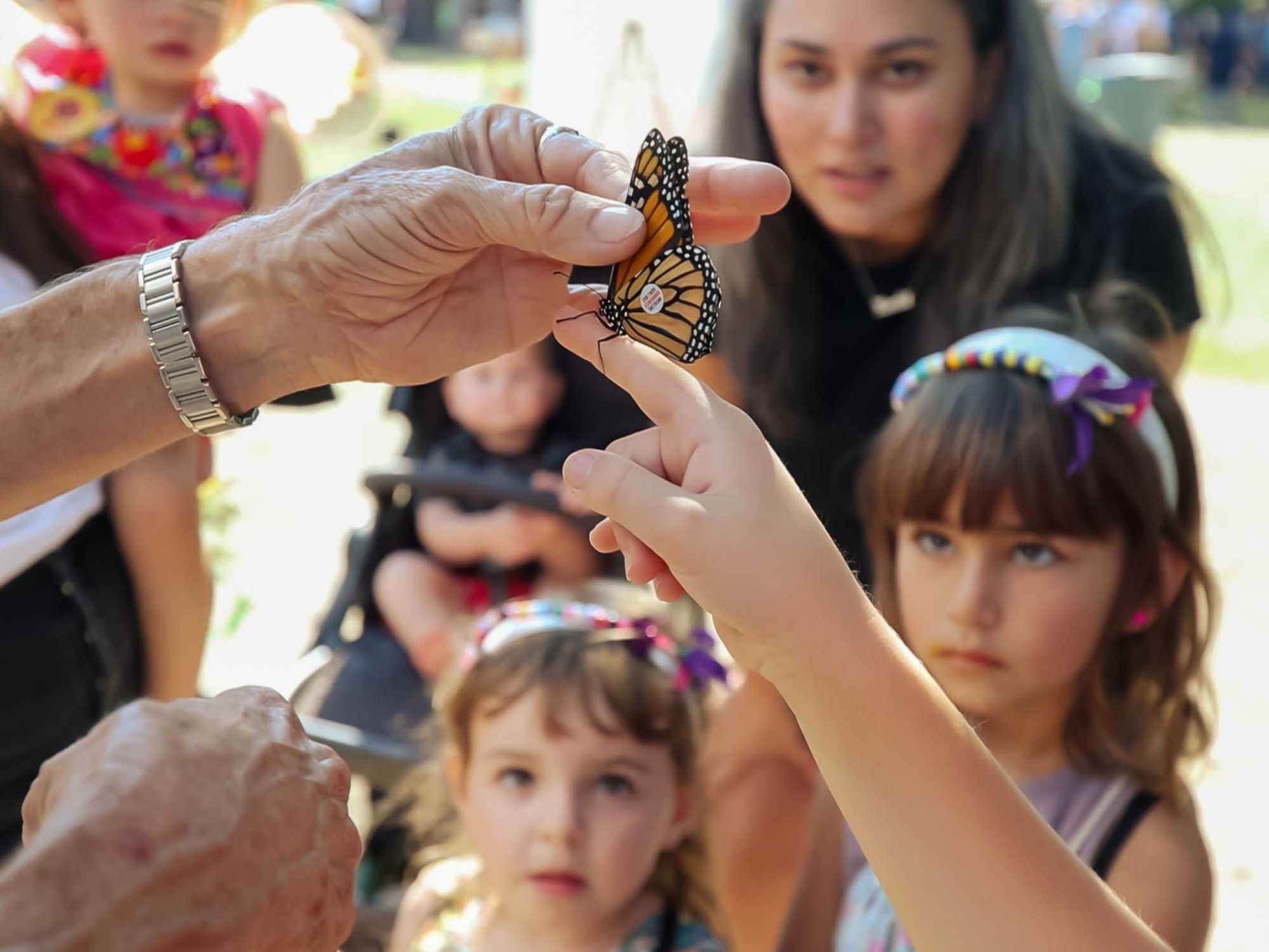Monarch Butterfly and Pollinator Festival