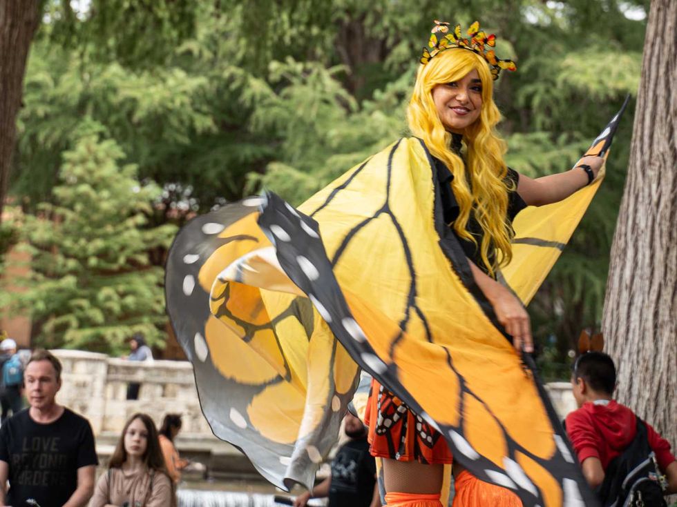 Monarch Butterfly and Pollinator Festival