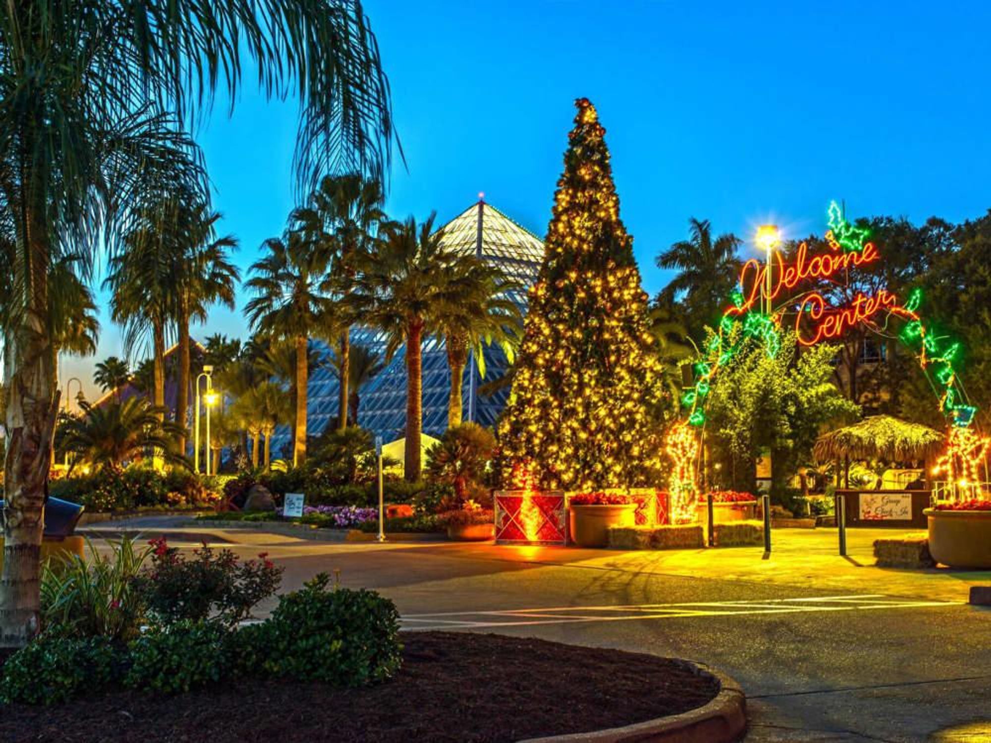 Moody Gardens Galveston festival of lights