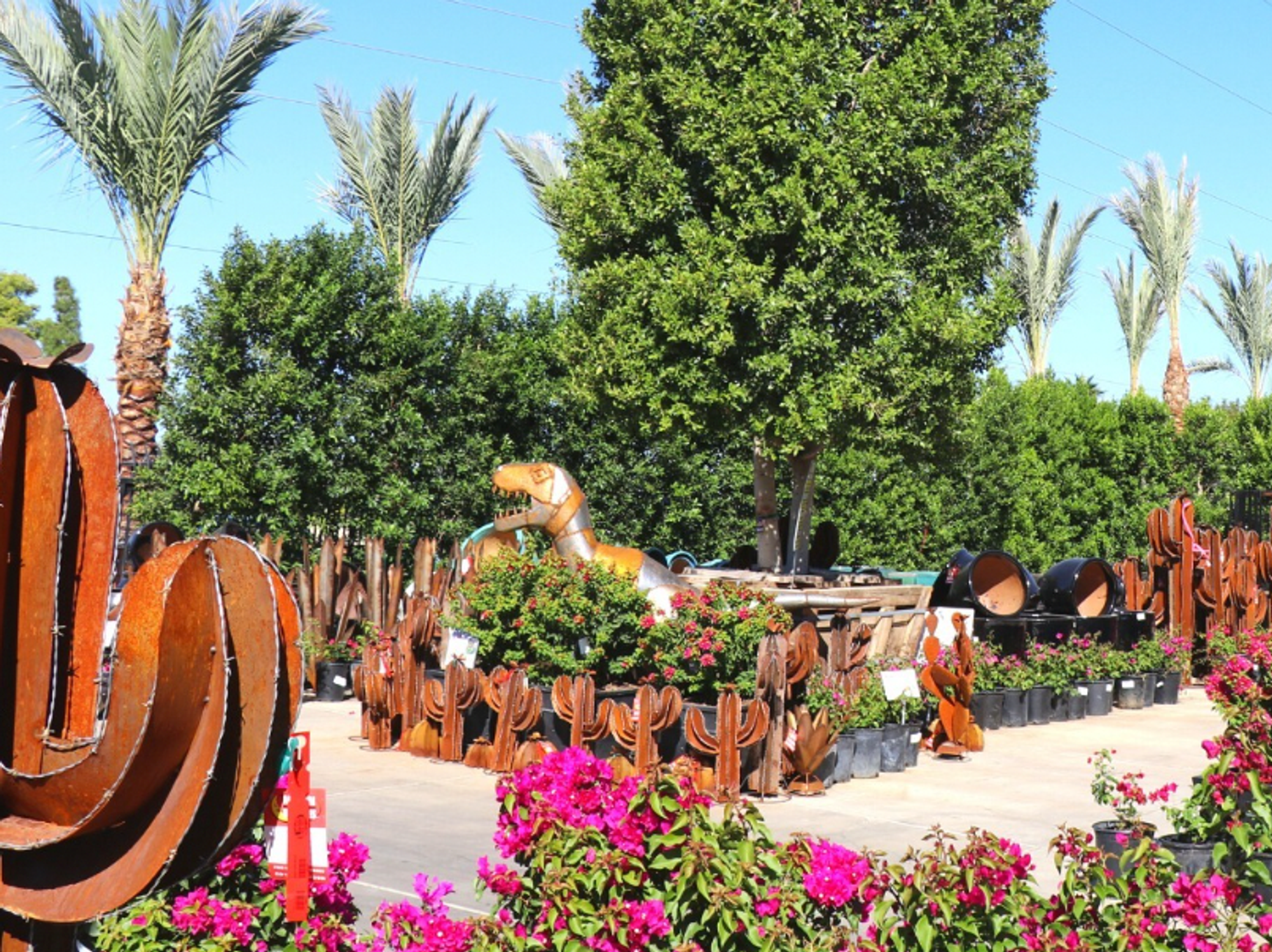 Moon Valley Nurseries plants and sculpture