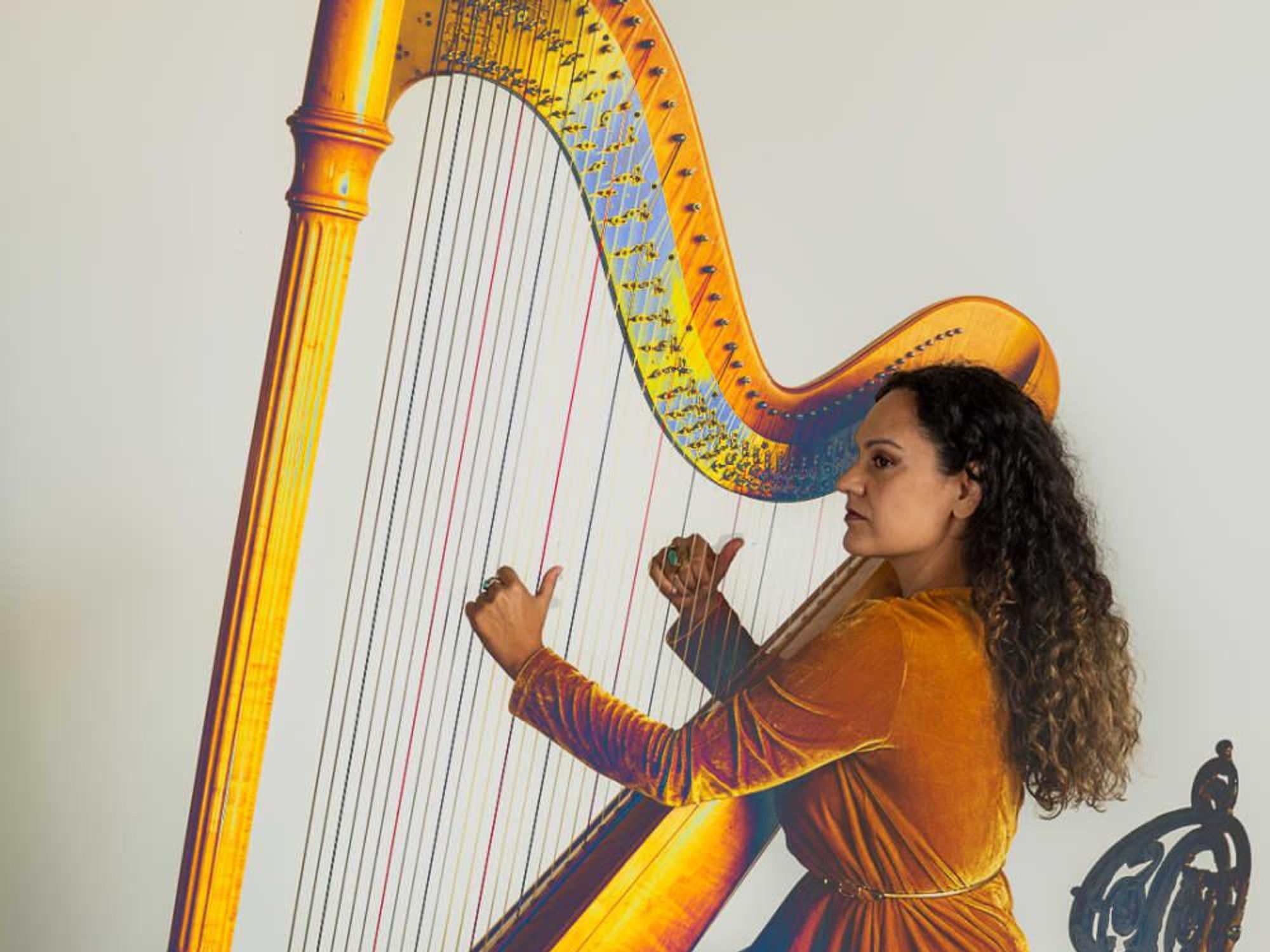 Pamela Martinez plays the harp.