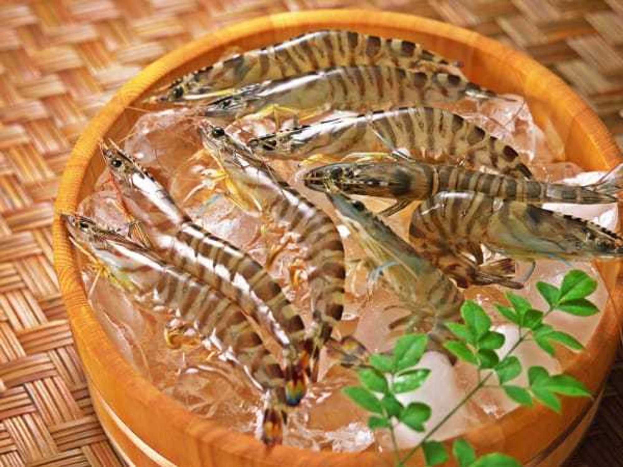 Pan-Asia Supermarket