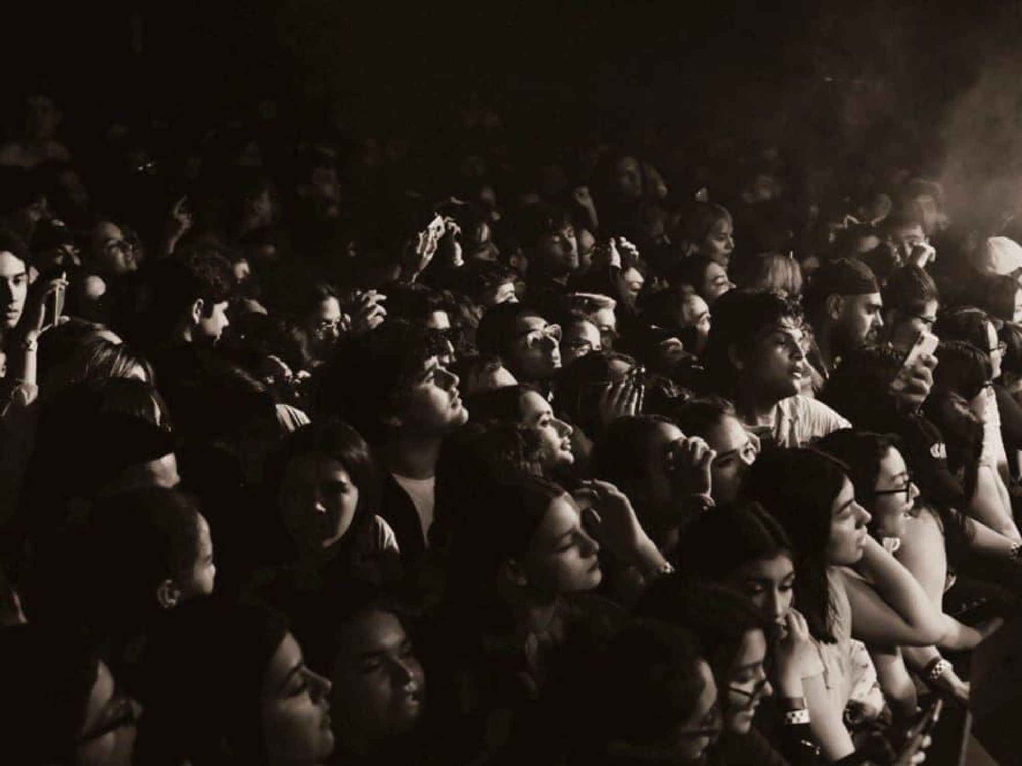 Paper Tiger crowd live music