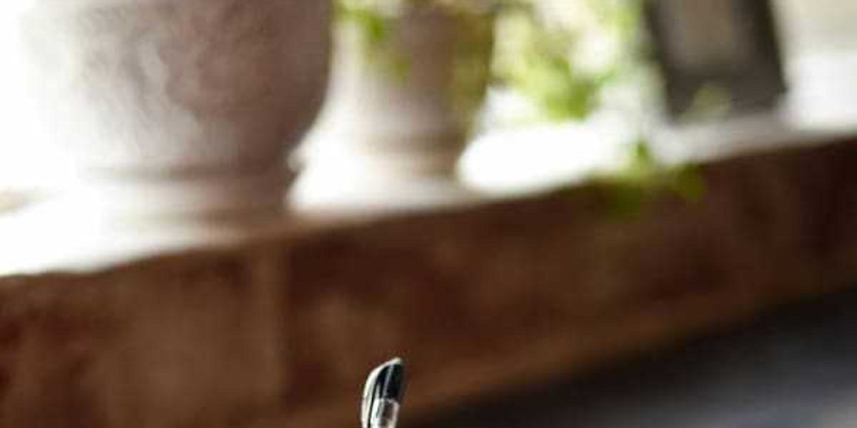 San Antonio Library seeks poets for Younger Pegasus Anthology San Antonio Library seeks poets for Younger Pegasus Anthology