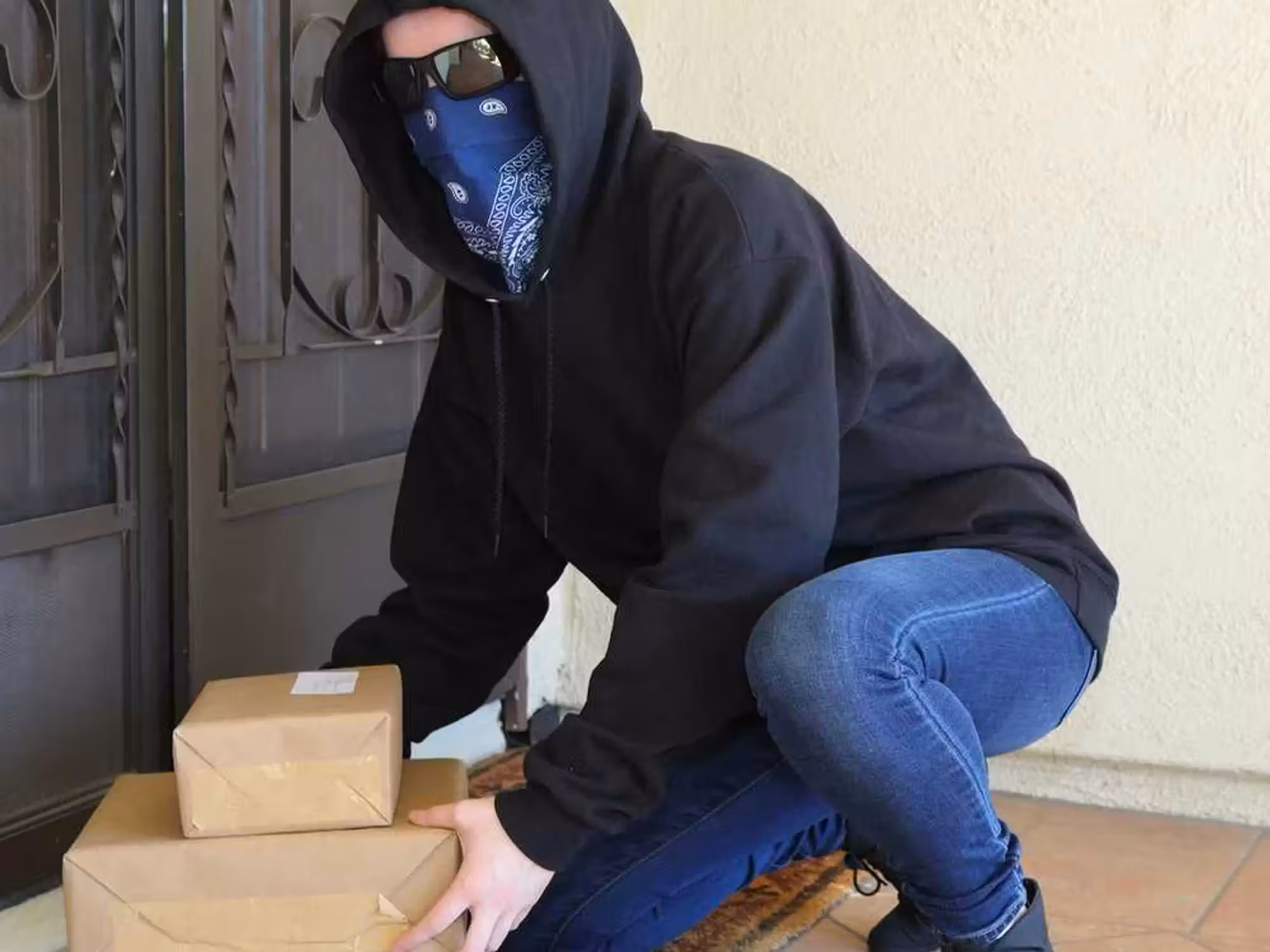 porch pirate