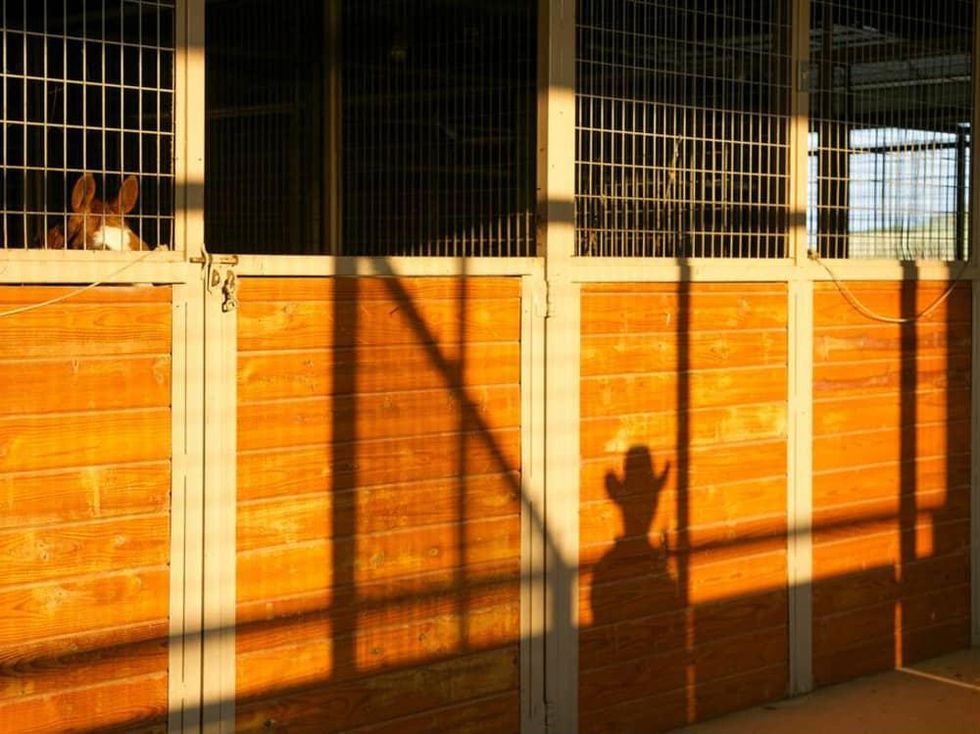 Rocking Ranch with Barn Shadow