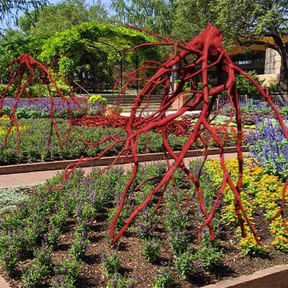 Rooted San Antonio Botanical