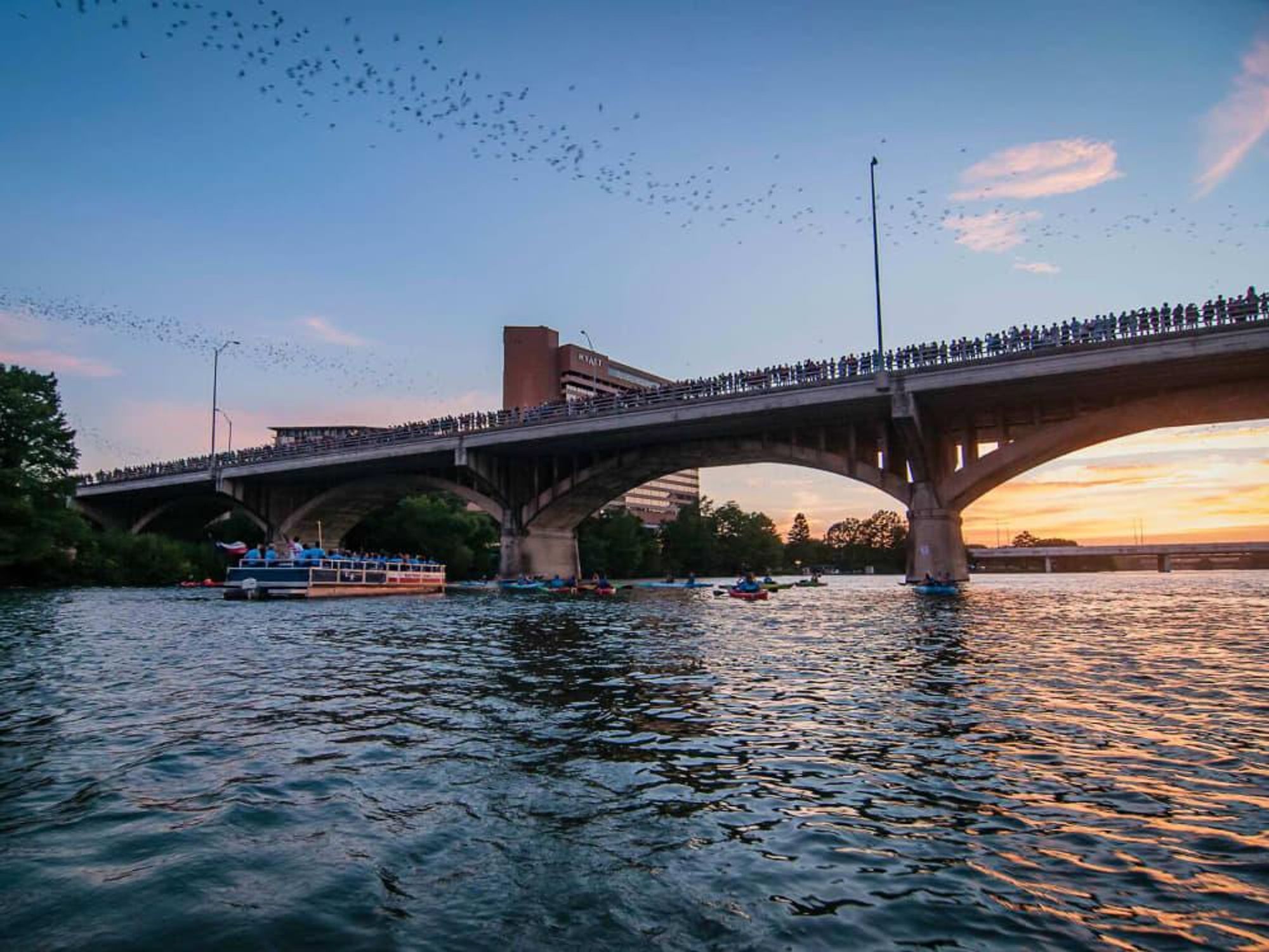 Rowing Dock downtown Austin Congress Avenue Bridge bats kayaking