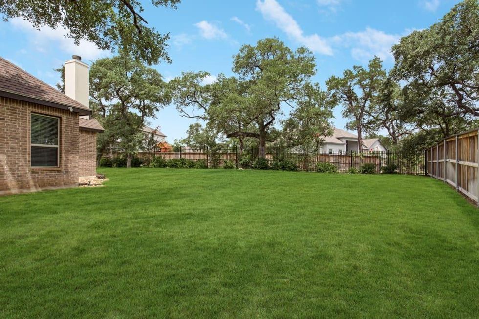 SA_3607 Hyland Frost