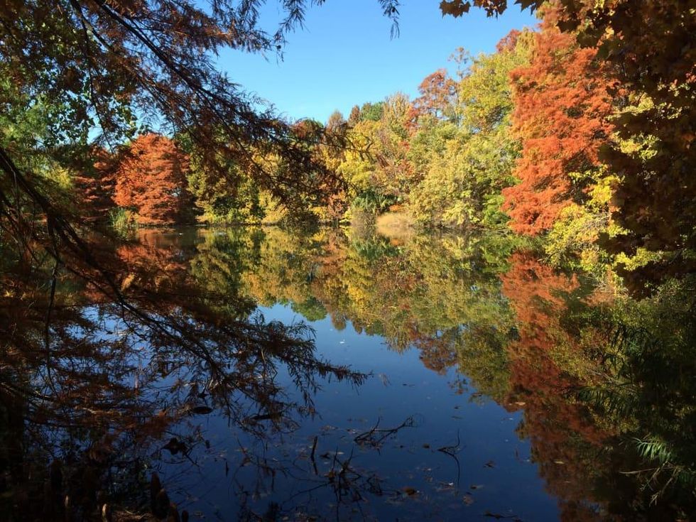 San Antonio Botanical Garden fall nature park