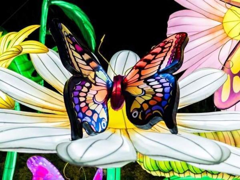 San Antonio Botanical Garden Illuminate