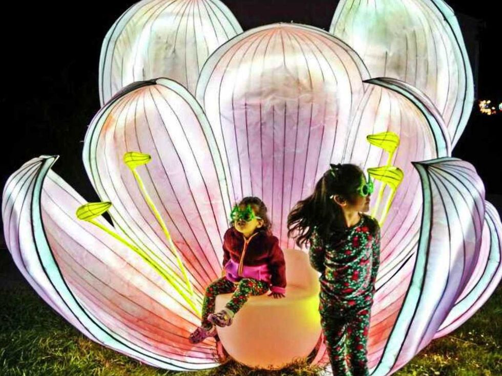 San Antonio Botanical Garden Illuminate