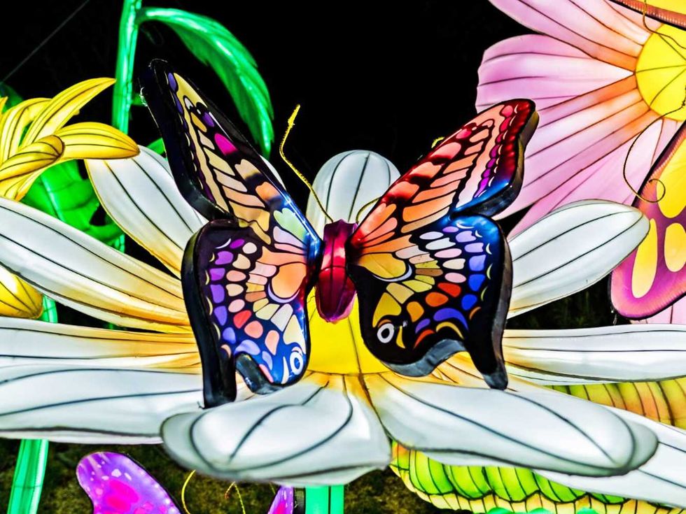 San Antonio Botanical Garden Illuminate