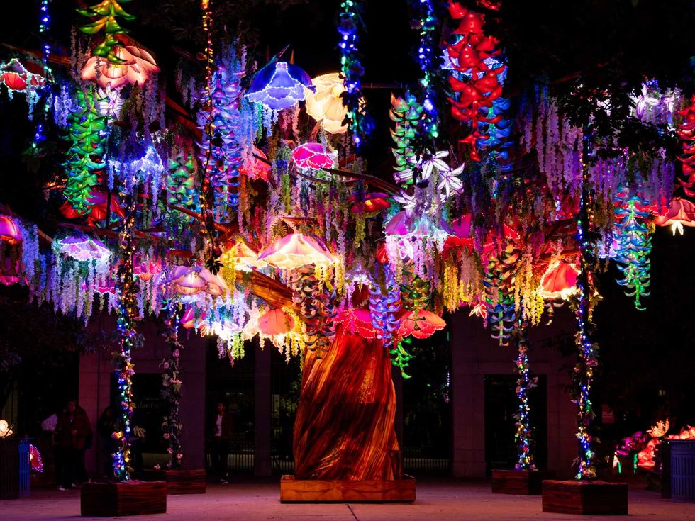 San Antonio Botanical Garden Illuminate