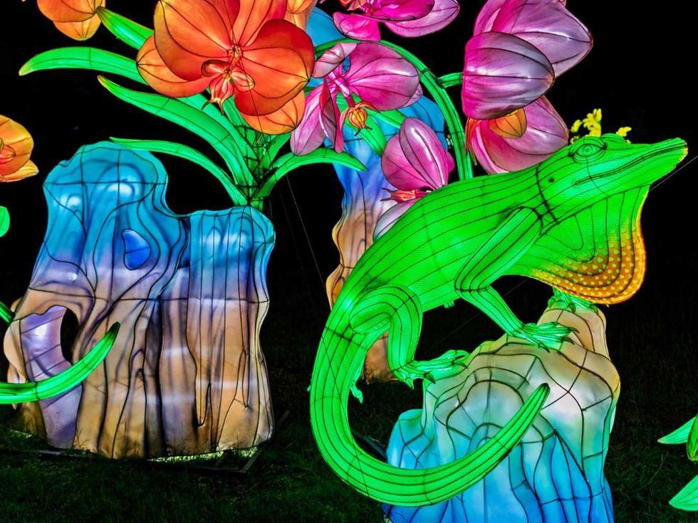San Antonio Botanical Garden Illuminate