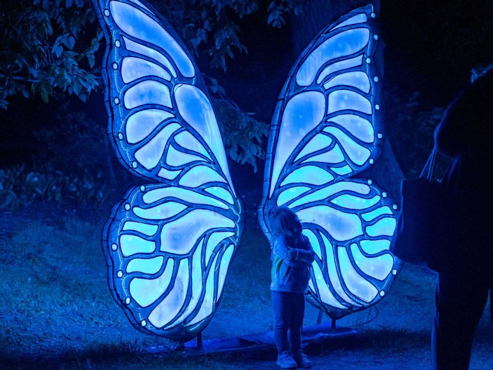 San Antonio Botanical Garden Illuminate