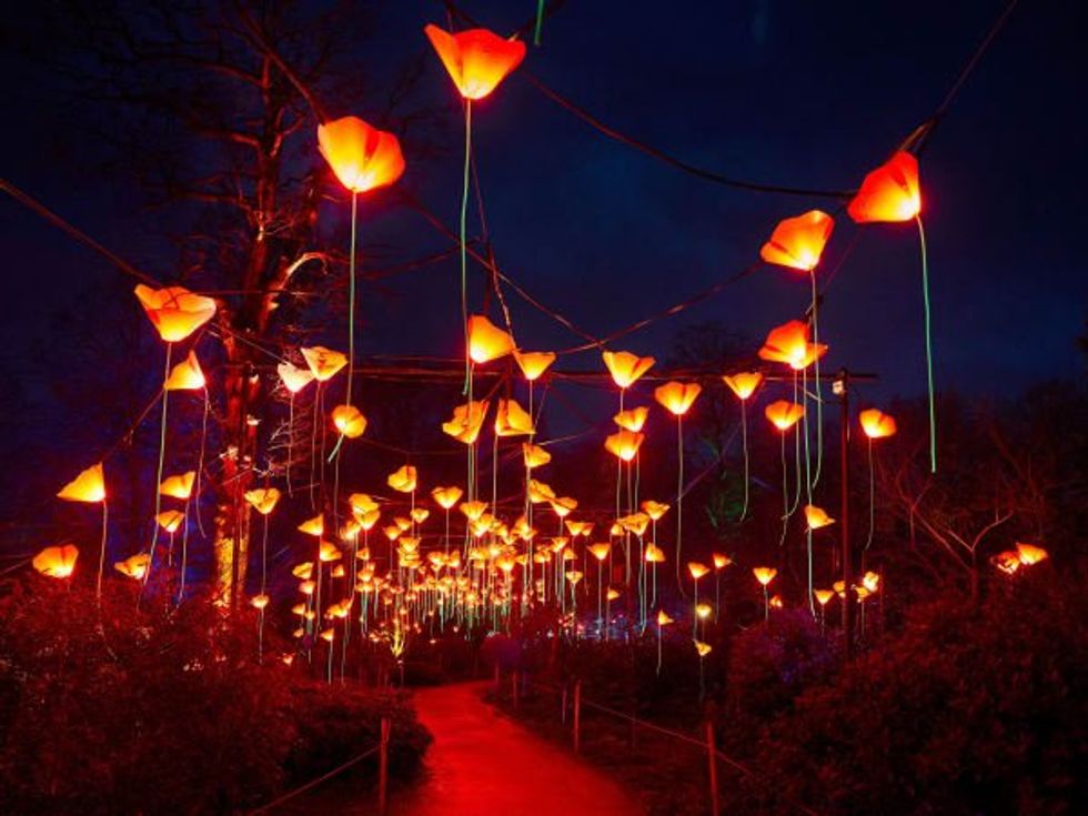 San Antonio Botanical Garden Lightscape