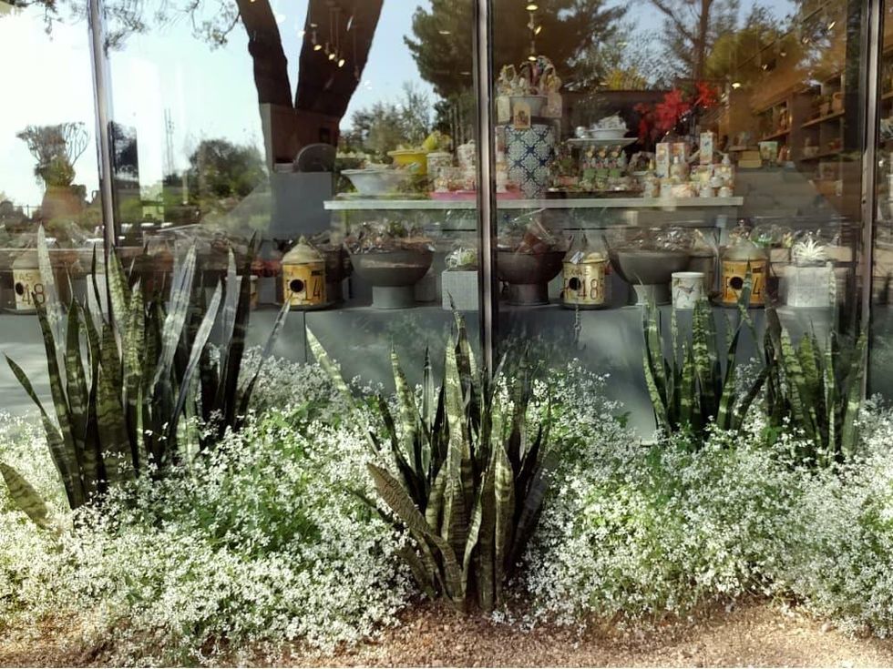 San Antonio Botanical Garden