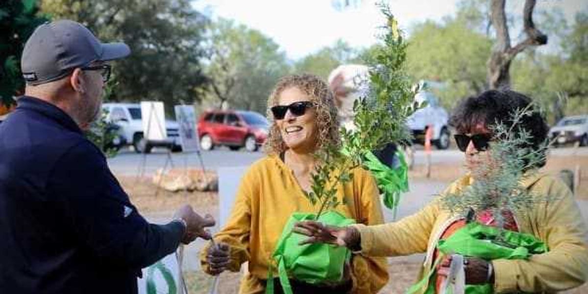 How you can snag a free tree throughout San Antonio’s Arbor Day bash How you can snag a free tree throughout San Antonio’s Arbor Day bash